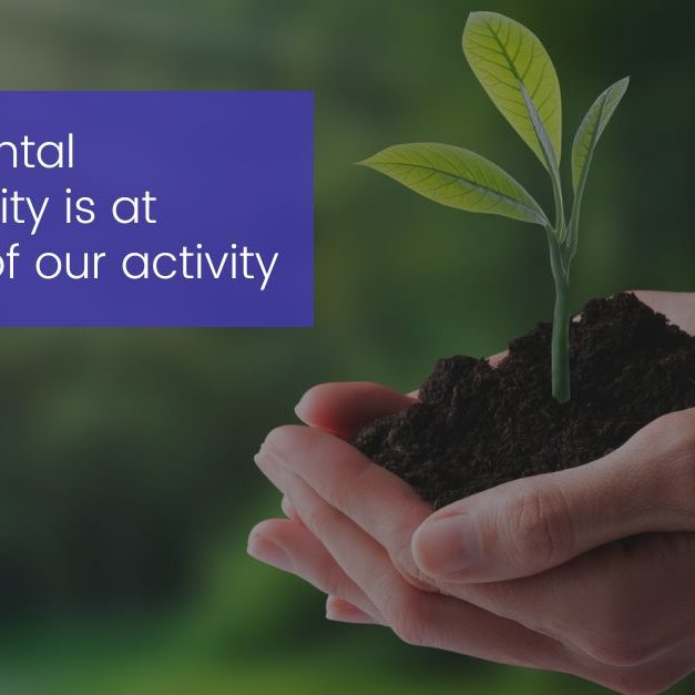 Microchannel and the Ecological Transition Hands holding soil with a young green plant — Climetal promoting sustainable HVAC and environmental responsibility.